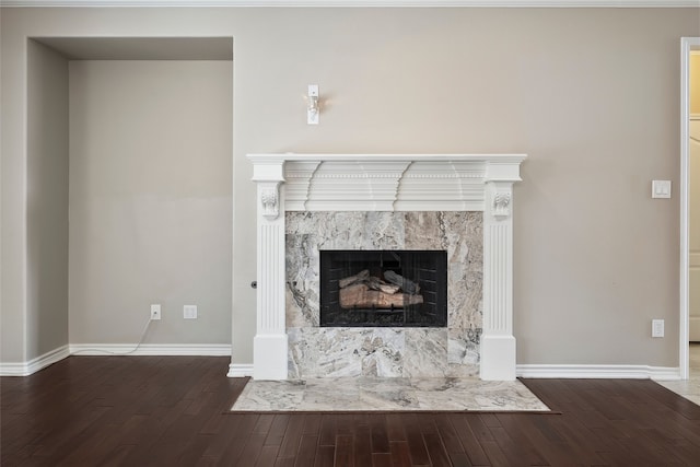 details with hardwood / wood-style floors and a high end fireplace