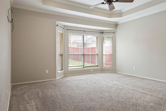 spare room with carpet, a raised ceiling, ceiling fan, and ornamental molding