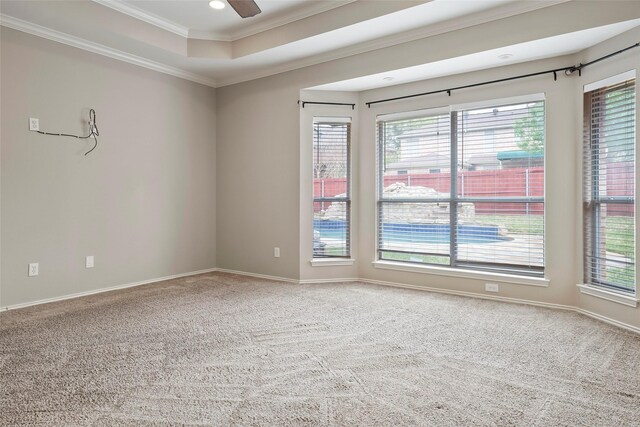 carpeted spare room with a raised ceiling, ceiling fan, and ornamental molding