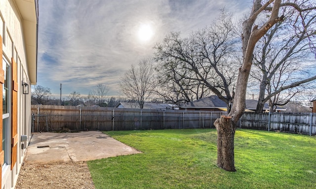 view of yard featuring a patio area