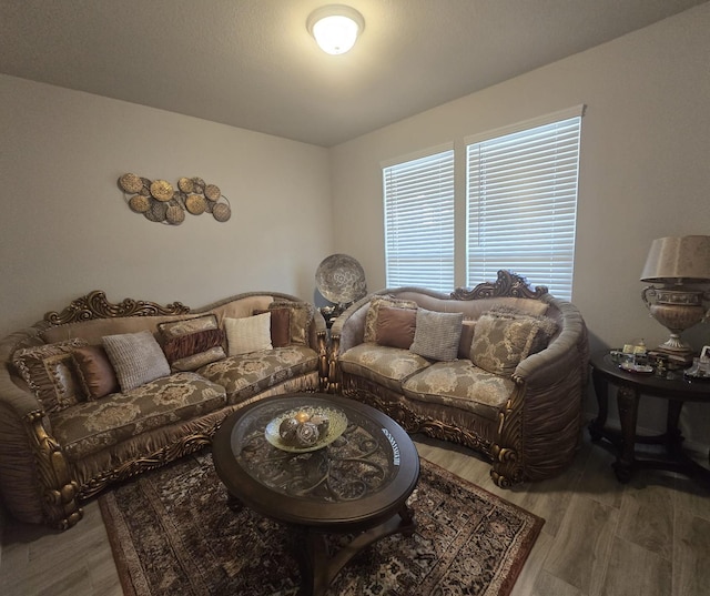 living room with wood-type flooring