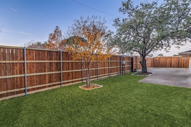 view of yard with a patio area