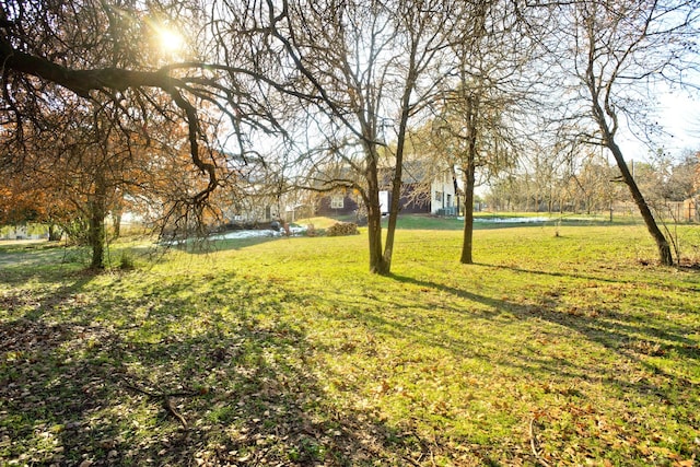 view of yard featuring a water view