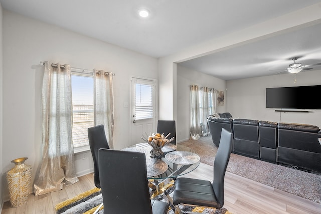 dining room with ceiling fan and light hardwood / wood-style floors