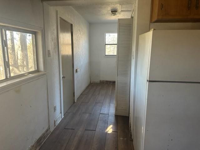 hall with dark hardwood / wood-style flooring