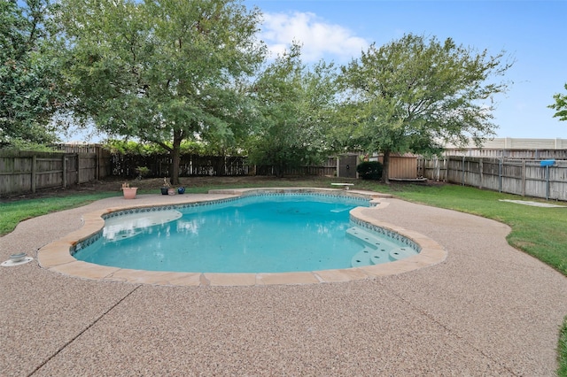 view of swimming pool featuring a patio area