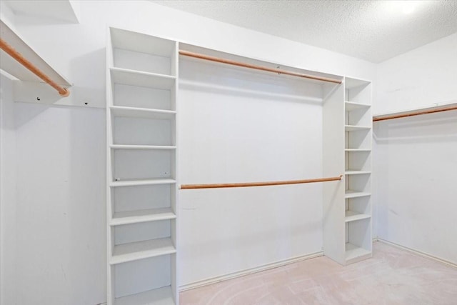 spacious closet with light colored carpet