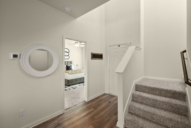 stairs with a high ceiling, hardwood / wood-style flooring, and ceiling fan