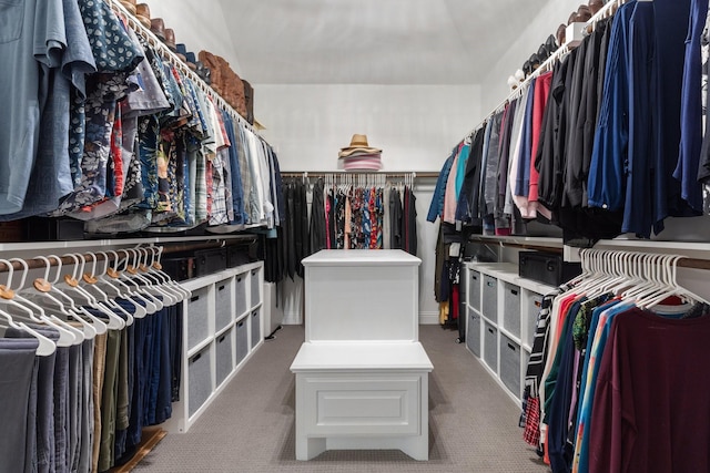 spacious closet featuring carpet flooring