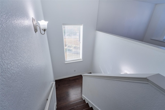 stairway with wood finished floors