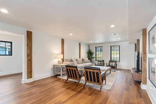 living room featuring wood-type flooring