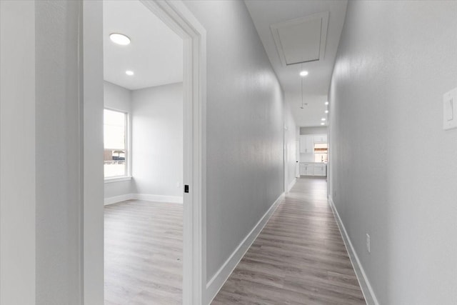 hallway featuring light hardwood / wood-style floors