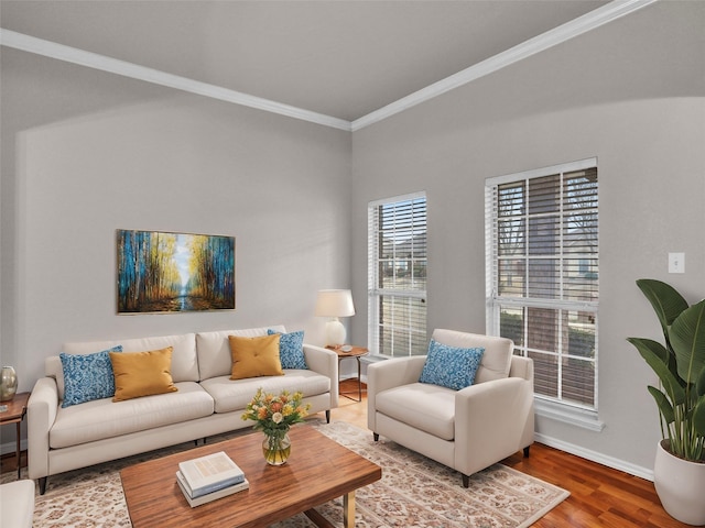 living room featuring wood-type flooring and crown molding