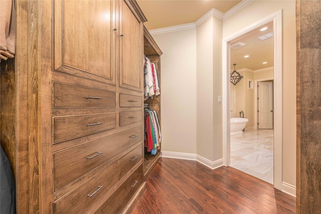 walk in closet with dark hardwood / wood-style flooring