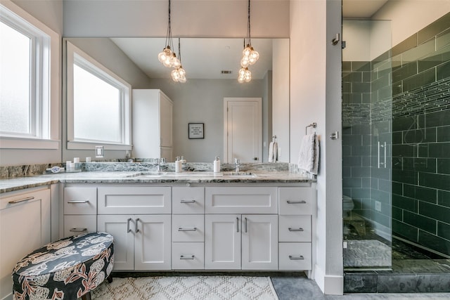 bathroom featuring vanity and a shower with shower door