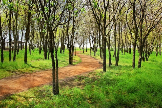 view of surrounding community