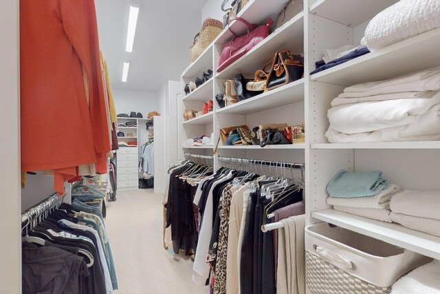 spacious closet with carpet floors