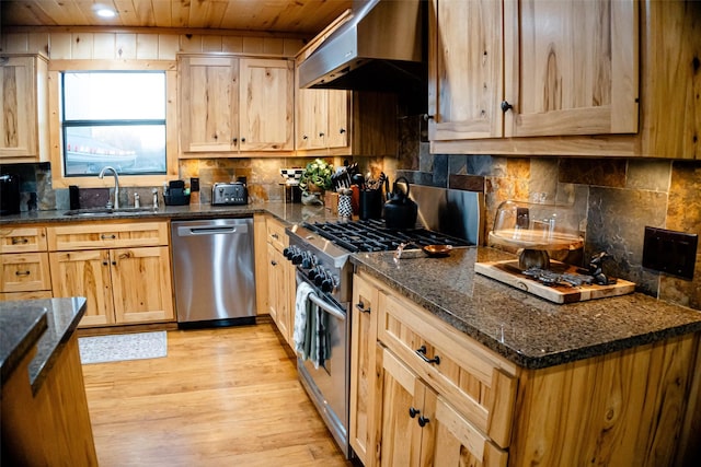 kitchen with light wood finished floors, tasteful backsplash, appliances with stainless steel finishes, under cabinet range hood, and a sink