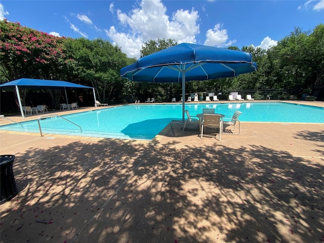 view of pool with a patio area