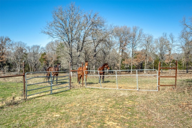 view of yard with a rural view