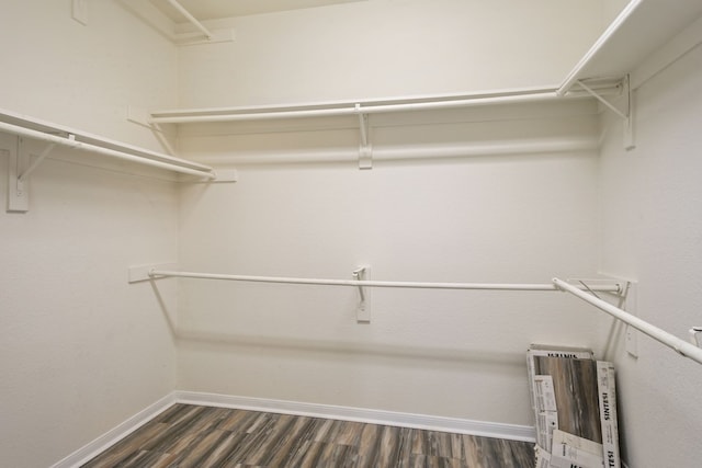 spacious closet with dark hardwood / wood-style flooring