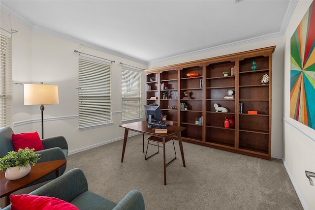 carpeted office space featuring ornamental molding