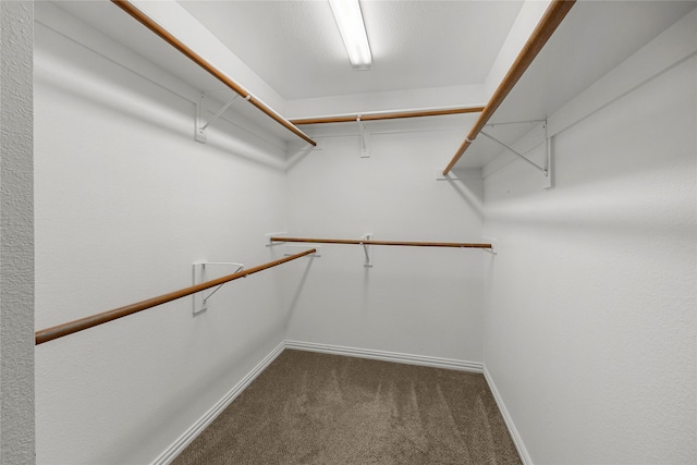 walk in closet with dark carpet