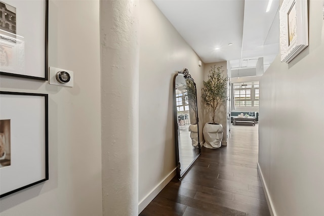 hall with dark hardwood / wood-style flooring