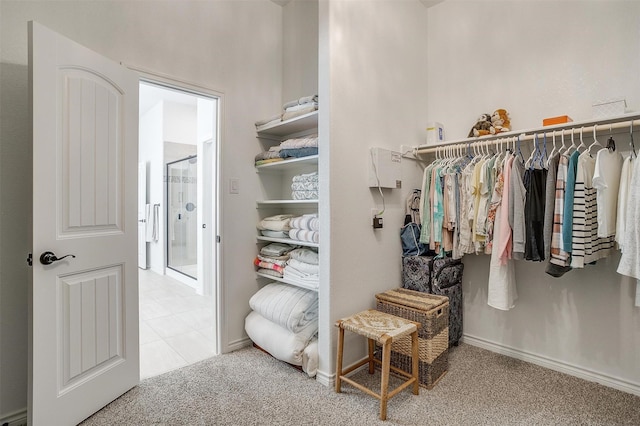 spacious closet with carpet