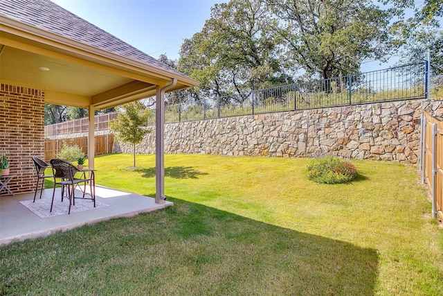 view of yard featuring a patio area