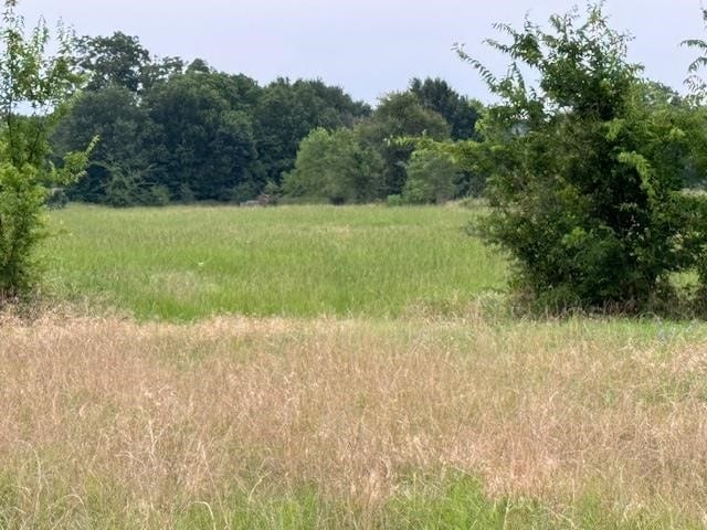 00 Smith Rd, Tool TX, 75143 land for sale