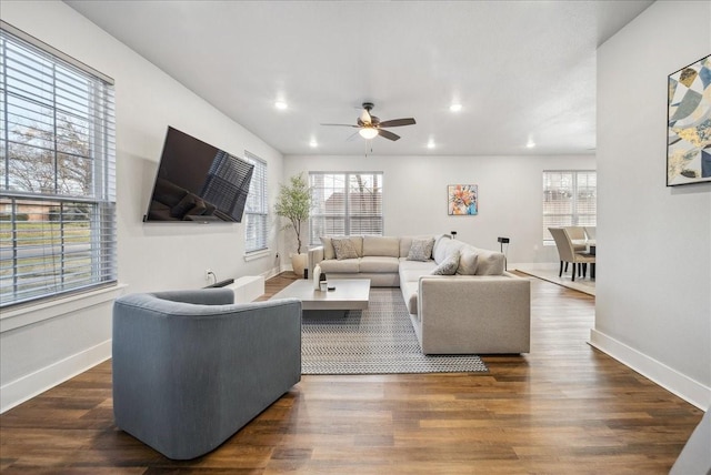 living room with ceiling fan and dark hardwood / wood-style flooring