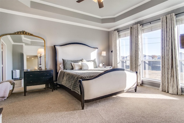 carpeted bedroom featuring ceiling fan, a raised ceiling, and crown molding