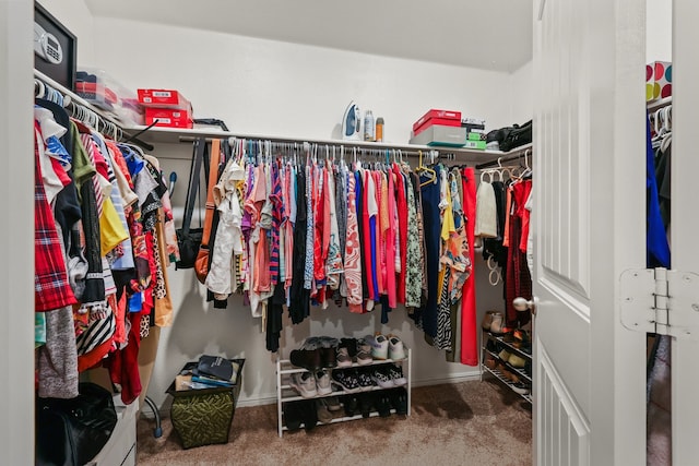 walk in closet with carpet floors