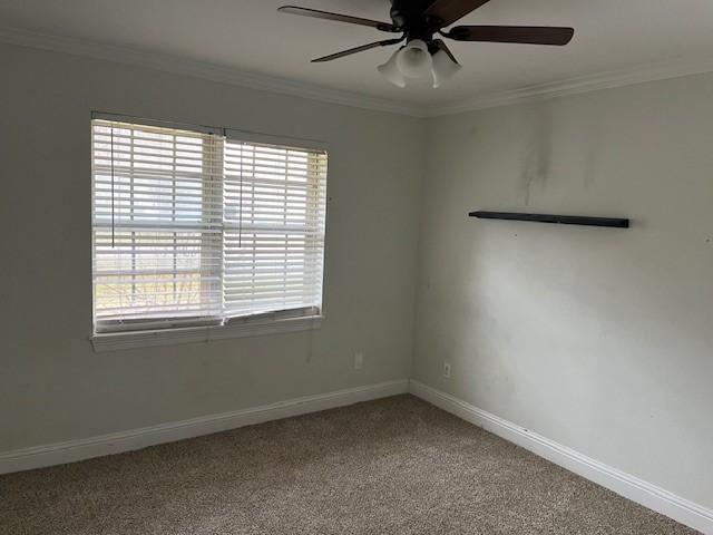 carpeted empty room with plenty of natural light, ornamental molding, and ceiling fan