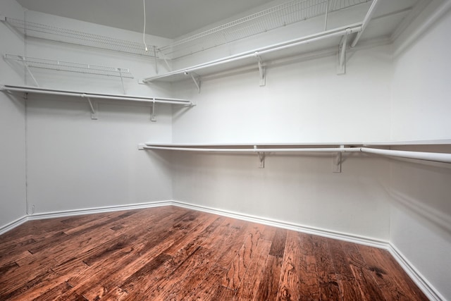 spacious closet featuring hardwood / wood-style flooring