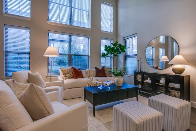 living room with a towering ceiling