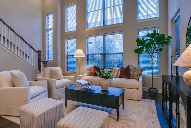 living room featuring a healthy amount of sunlight, wood-type flooring, and a high ceiling