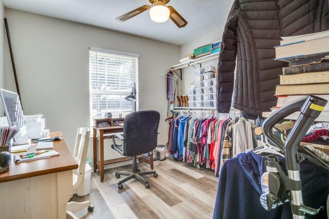 office space with ceiling fan and light hardwood / wood-style floors