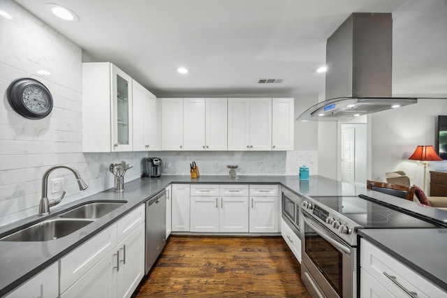 kitchen featuring ventilation hood, white cabinetry, sink, and appliances with stainless steel finishes