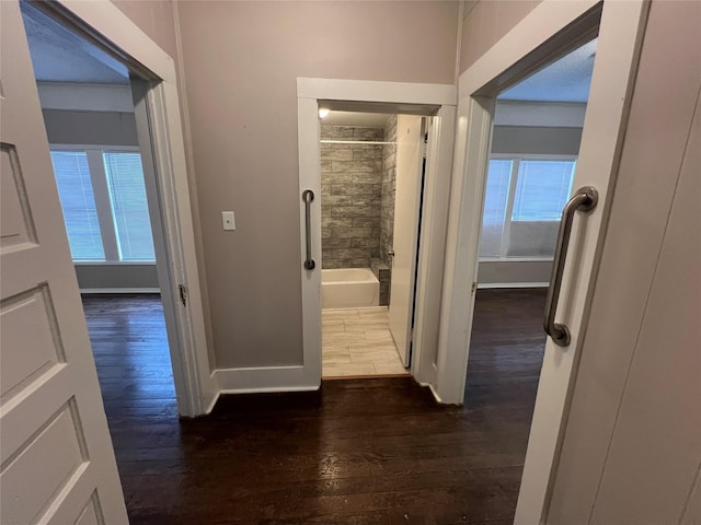 corridor featuring a wealth of natural light and dark wood-type flooring