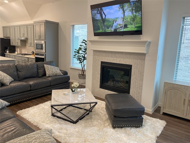 living room with plenty of natural light, a fireplace, dark wood-type flooring, and vaulted ceiling