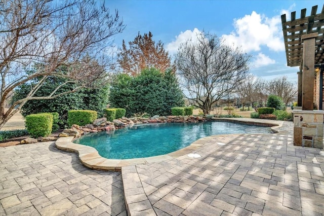 view of pool with a patio