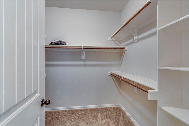 walk in closet featuring carpet