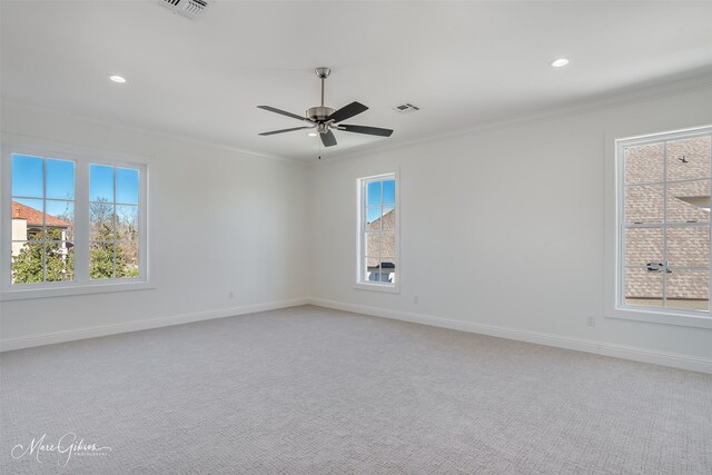 empty room featuring crown molding, plenty of natural light, and light carpet