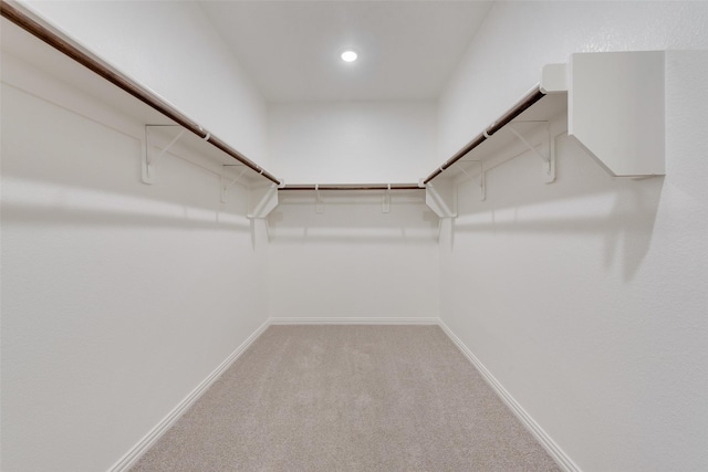 walk in closet with carpet flooring