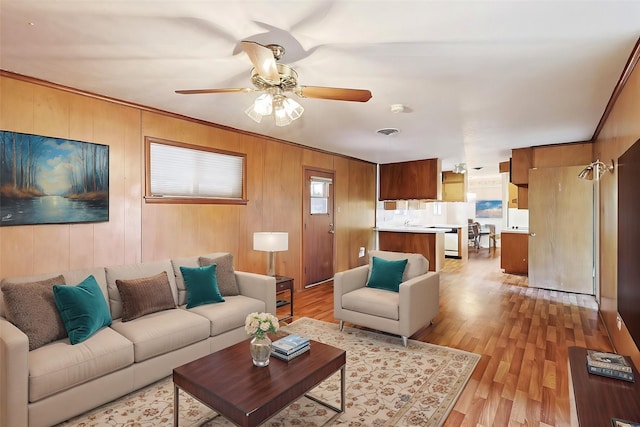 living room featuring ceiling fan, light wood-type flooring, ornamental molding, and wooden walls