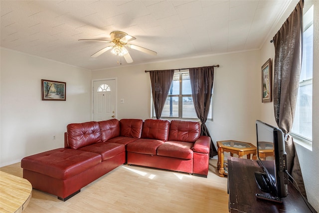 living room with light wood-style floors, crown molding, and ceiling fan