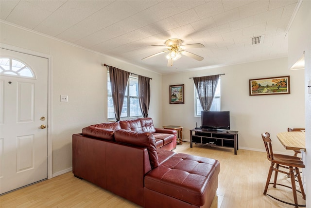 living area featuring crown molding, light wood finished floors, ceiling fan, and visible vents
