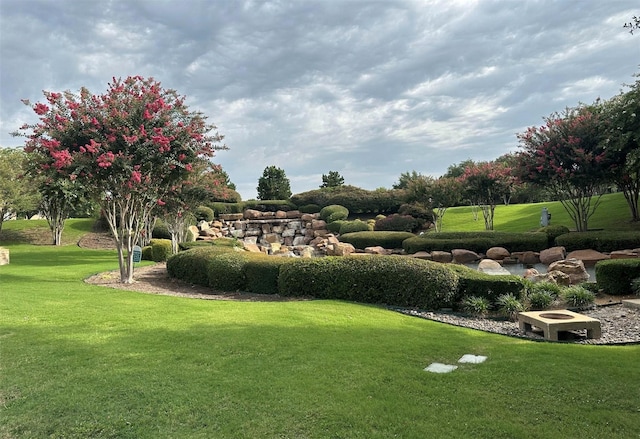 view of community featuring a yard